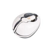 Convertisseur de voiture 150W Compact CARWATT Gris